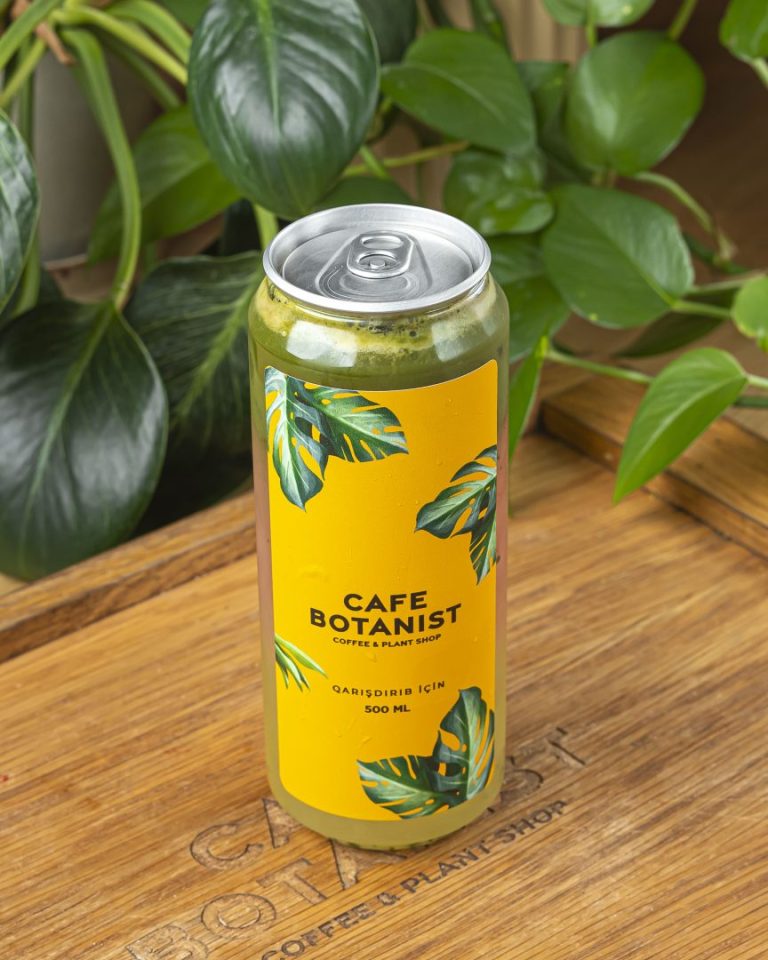 Monstera Matcha